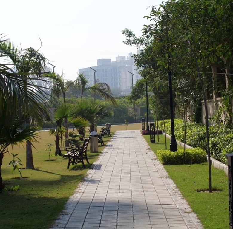 Platinum Premier Green Lawns