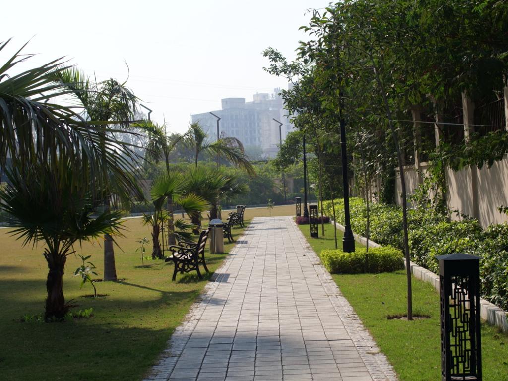 Platinum Premier Green Lawns